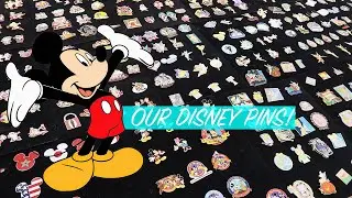 Our Entire Disney Pin Collection...20 Years Of Collecting!!  2020
