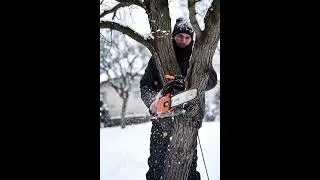 #woodworking #work #timber #forestry #logging #nature #shorts #chainsaw #handmade #craft #outdoors