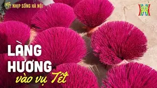 Làng hương Phú Xuyên vào vụ Tết | Nhịp sống Hà Nội