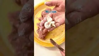 Wonton #food #cooking #delicious#shorts