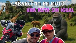 En Moto por Cab&aacute;rceno 🏍️ | Animales Salvajes y Ruta Incre&iacute;ble en Cantabria 2025