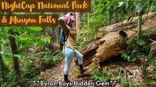 BUSH WALKING In Australia: Minyon Falls | Nightcap National Park