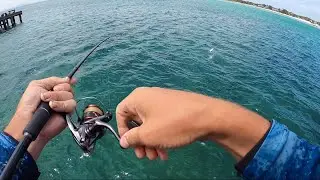 Salmon Fishing | Land based