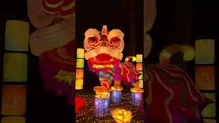 Boston Lights Franklin Park Zoo Chinese Dragon Lion Dance 舞狮 m&uacute;a l&acirc;n 舞獅 barongsai tarian singa 2025