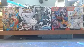 Pokemon Pack Battle VS. FLamingo PokeMonster VS. Time2Rip