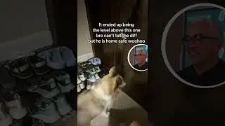 Husky Rides The Elevator