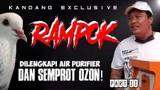 KANDANG EXCLUSIVE RAMPOK//MERPATI KOLONG//MERPATIKU//MERPATI LOVERST//NEW RAMPOK