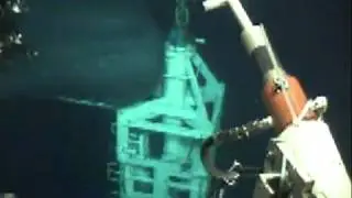 Baleia aparece durante operação com ROV.