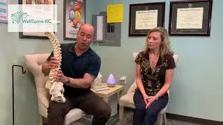 Chiropractic Care Overland Park, KS