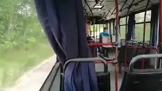 Ikarbus IK-103 #5384