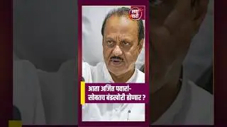 आता अजित पवारांसोबतच बंडखोरी होणार ? | Ajit Pawar | Eknath Shinde | Sharad Pawar | NCP Split