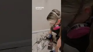 ✨️Besides the face first fall removing this tile floor actually wasn't as bad as I thought it would