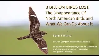 Dr. Peter Marra: 3 Billion Birds Lost: The Disappearance Of North American Birds and What We Can Do