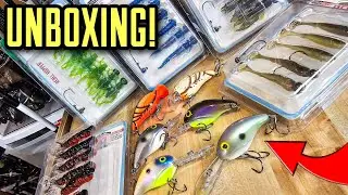 Awesome NEW Plastics & CRAZY Crankbaits!
