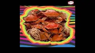 Taste the Ocean: Daddy Ray's King Crab Experience! Henderson NC