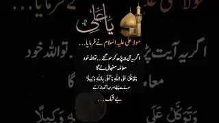 مولا علیؑ کے اقوال جو زندگی I mola Ali ke aqwal#quotes #hazratali#hazrataliwisdom#lifethought#quran