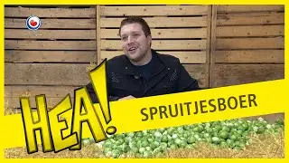 HEA! Spruitjesboer Yde