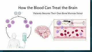 From the Blood to the Brain: Stem Cell Gene Therapy