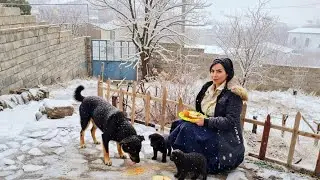A Peaceful Village Afternoon | Baking Cherry Tart in an Iranian Mountain Village
