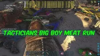 Tacticians Wipe Server 10 (Ark Mega Tribe PvP)