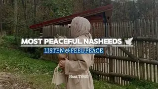Most Peaceful Nasheeds Ever 🤍🎶 | Soul Healing Islamic Nasheed Collection | Naaz Typist |