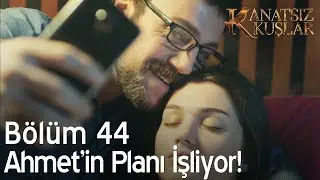 Kanatsız Kuşlar 44. Bölüm - Ahmet'in planı işliyor!