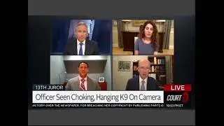Officer Seen Choking K9 on Camera. Legal Analysis with Seattle Attorney Kirk Davis.