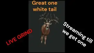Great One white tail grind