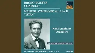 Symphony No. 1 in D Major, 
