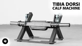 Kingsbox Tibia Dorsi Calf Machine