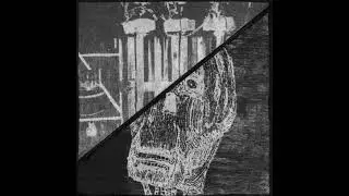 Luminiferous Aether - Side of split with Parasitic Equilibrium (2025)