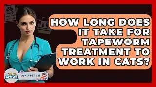 How Long Does It Take For Tapeworm Treatment To Work In Cats? - Ask A Pet Vet