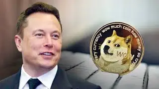 Elon Musk Is Going To Take Dogecoin To The Next Level (Final Stand Show)
