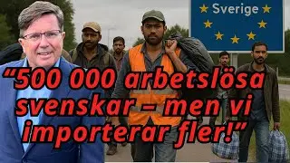 &ldquo;Invandringen krossar svensk arbetsmarknad - &auml;nd&aring; fler invandrare?&rdquo; - Arne Weinz