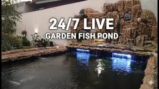 LIVE 24 Hours: Tranquil Outdoor Fish Pond View | Serene Waterfall & Garden Ambiance