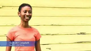Unhealthy foods vs  Healthy foods on the UWI Mona campus
