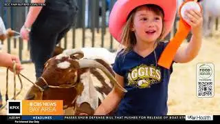 KPIX CBS 5 Santa Clara County Fair's Buyers Coalition