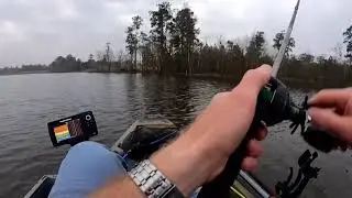Buzz bait Topwater Action!