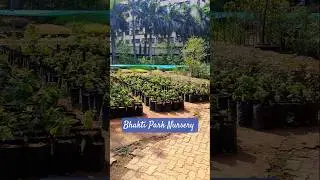 Bhakti Park Garden Nursery section.
