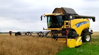 Wielkie Żniwa 2015 - Rzepak - New Holland CX8070