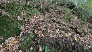 Real Scotland Weem Woods Walk part 2 of 3 Aberfeldy Circular Autumn