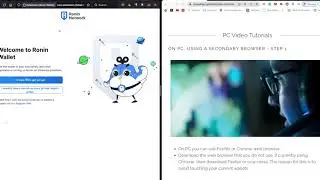 Part 1  Ronin into Metamask