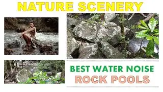 🌊🪨 Calming Rock Pools! Water Noise, Stream, Mount Tamborine Natural Spring Water Sound, Nature QLD