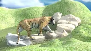 Tiger Animation