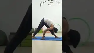 Huming flamingo pose #shorts #viral #waytolive #yoga #yogalovers #flexibility #youtubeshorts