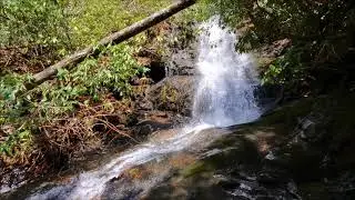 Pheasant Branch Falls, Swallow Creek Wildlife Management Area, Georgia
