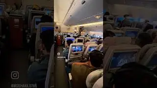 Emirates Airlines Flight Attendant servings lunch on the top 40,000 Fit in the sky