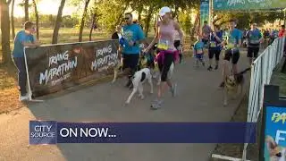 City Source - On Now