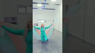 Danse avec des ailes multicolore.