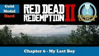 My Last Boy - Gold Medal Guide - Red Dead Redemption 2